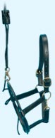 EQUIVET Dental Halter