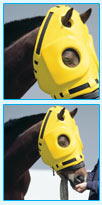 Equine head protector