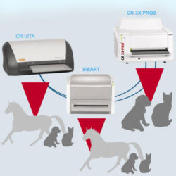 radiologiaDigitaleINDIRETTA