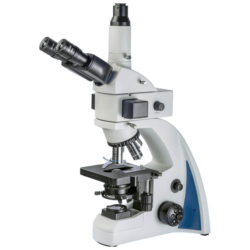 Microscopio fluorescenza SERIE 300