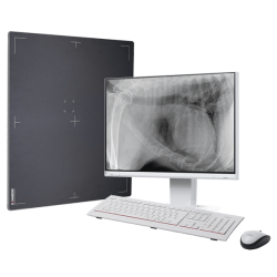 SISTEMA DIGITALE DR 1717 EXAMION